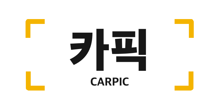 카픽 CARPIC