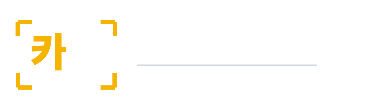 카픽 CARPIC